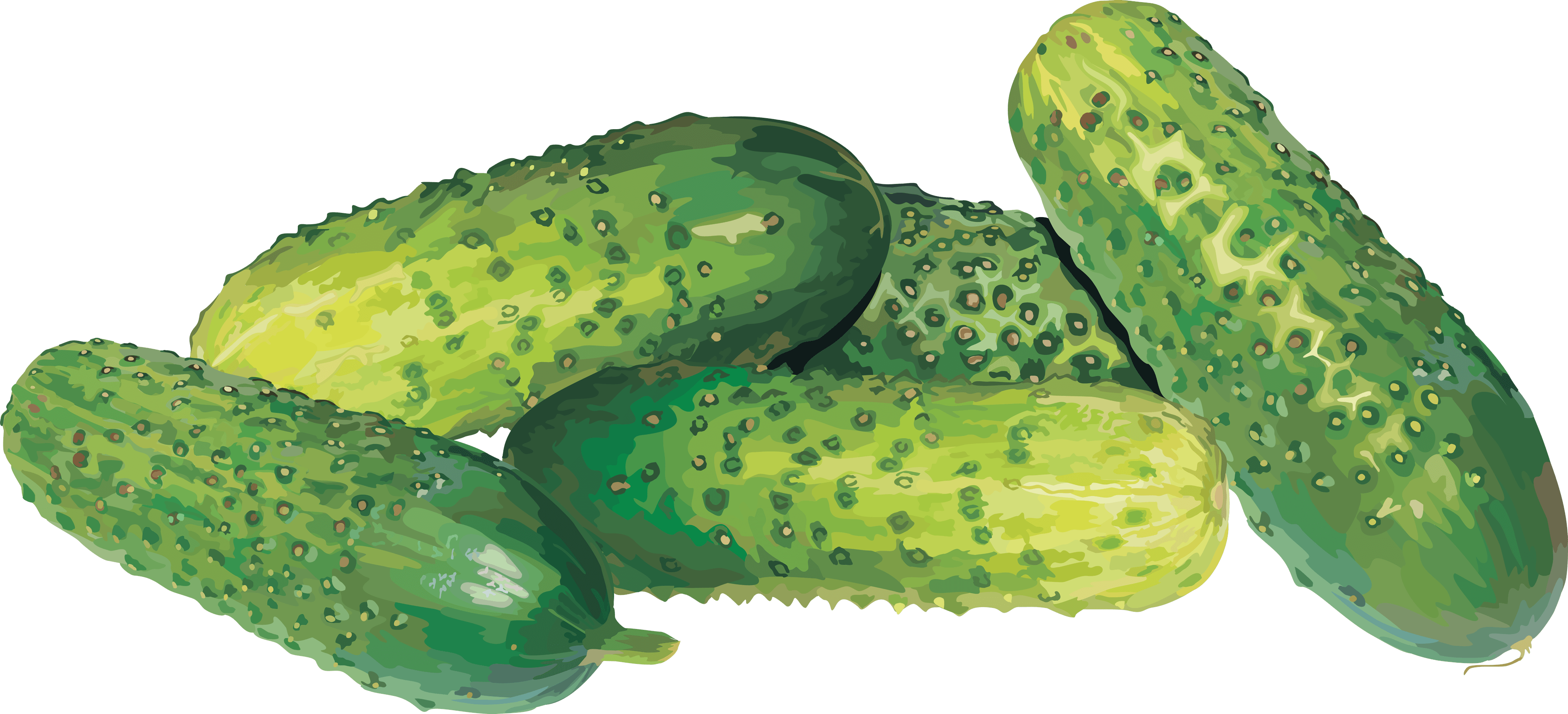 Cucumber Png Image Picture Download Transparent PNG Image