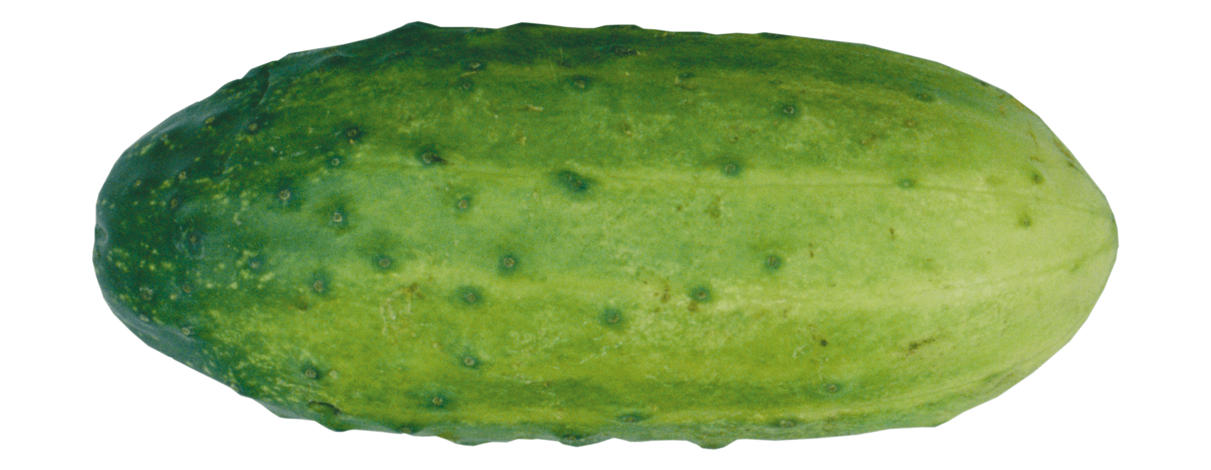 Green Cucumber Png Image Transparent PNG Image