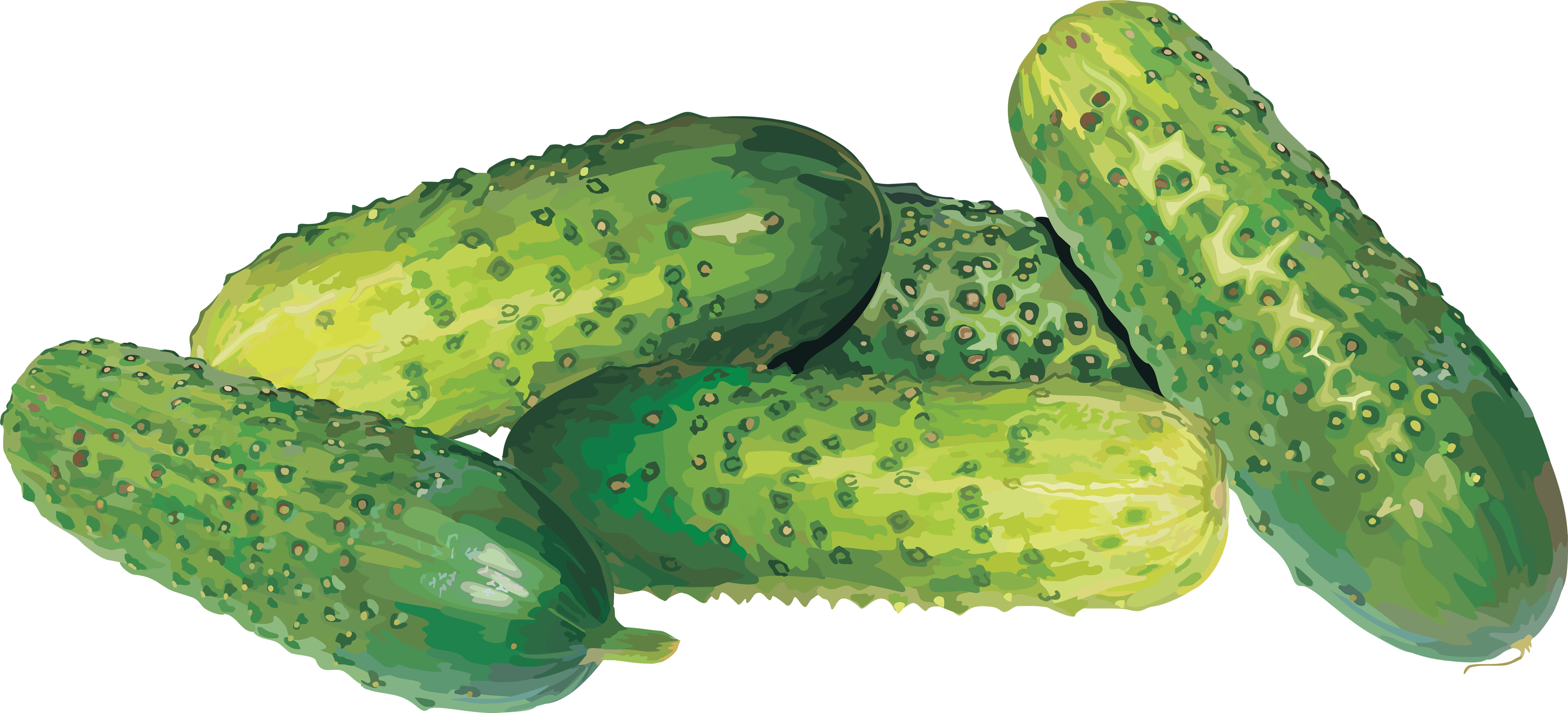 Cucumber Free Download Png Transparent PNG Image