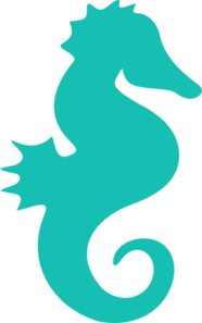 Cute Seahorse Picture Transparent PNG Image