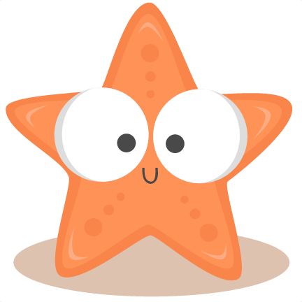 Cute Starfish Photo Transparent PNG Image