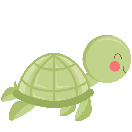 Cute Turtle Photos Transparent PNG Image