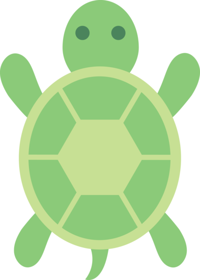 Cute Turtle Free Download Transparent PNG Image