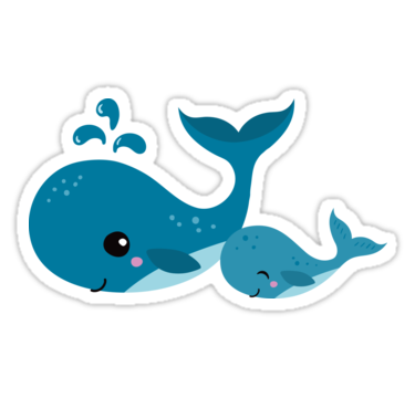 Cute Whale Transparent PNG Image