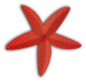 Cute Starfish Hd Transparent PNG Image