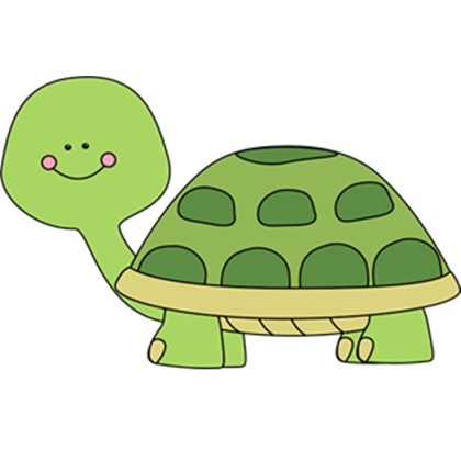 Cute Turtle Photo Transparent PNG Image