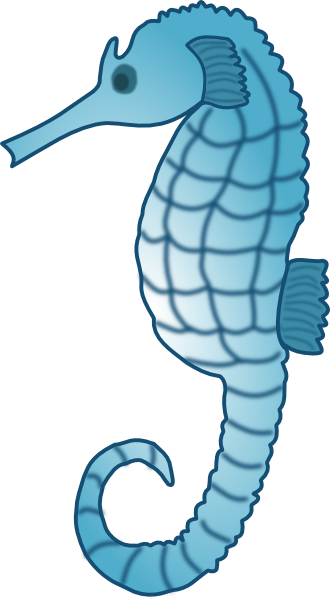 Cute Seahorse Photo Transparent PNG Image