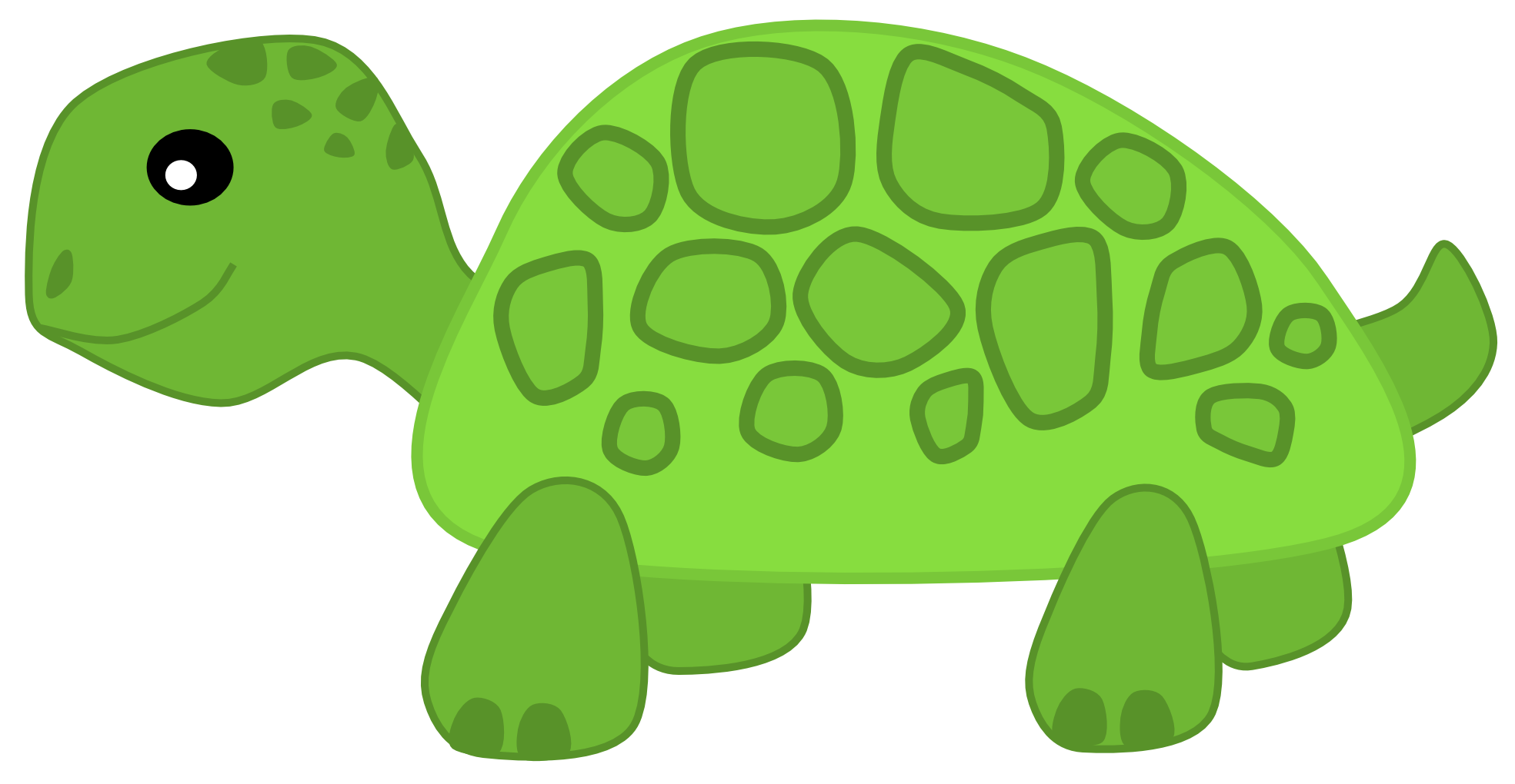 Cute Turtle Transparent Image Transparent PNG Image