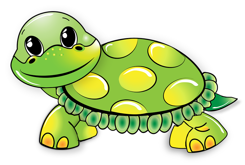 Cute Turtle Transparent Picture Transparent PNG Image