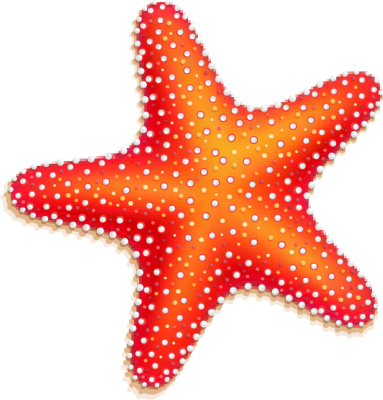 Cute Starfish File Transparent PNG Image