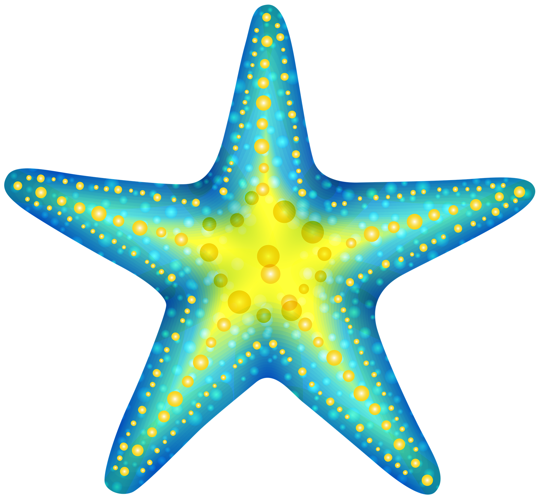 Cute Starfish Photos Transparent PNG Image