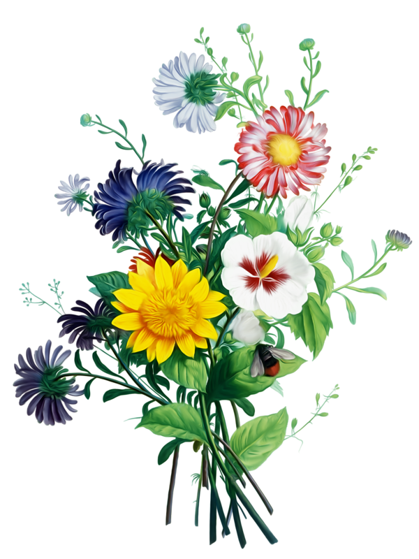 Bouquet Bride Plant Flower Chrysanths Free Transparent Image HQ Transparent PNG Image