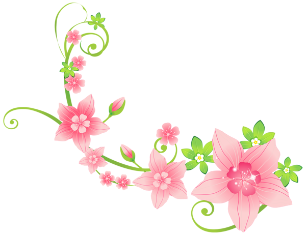 Floral Spring Decoration Photos Download HD Transparent PNG Image