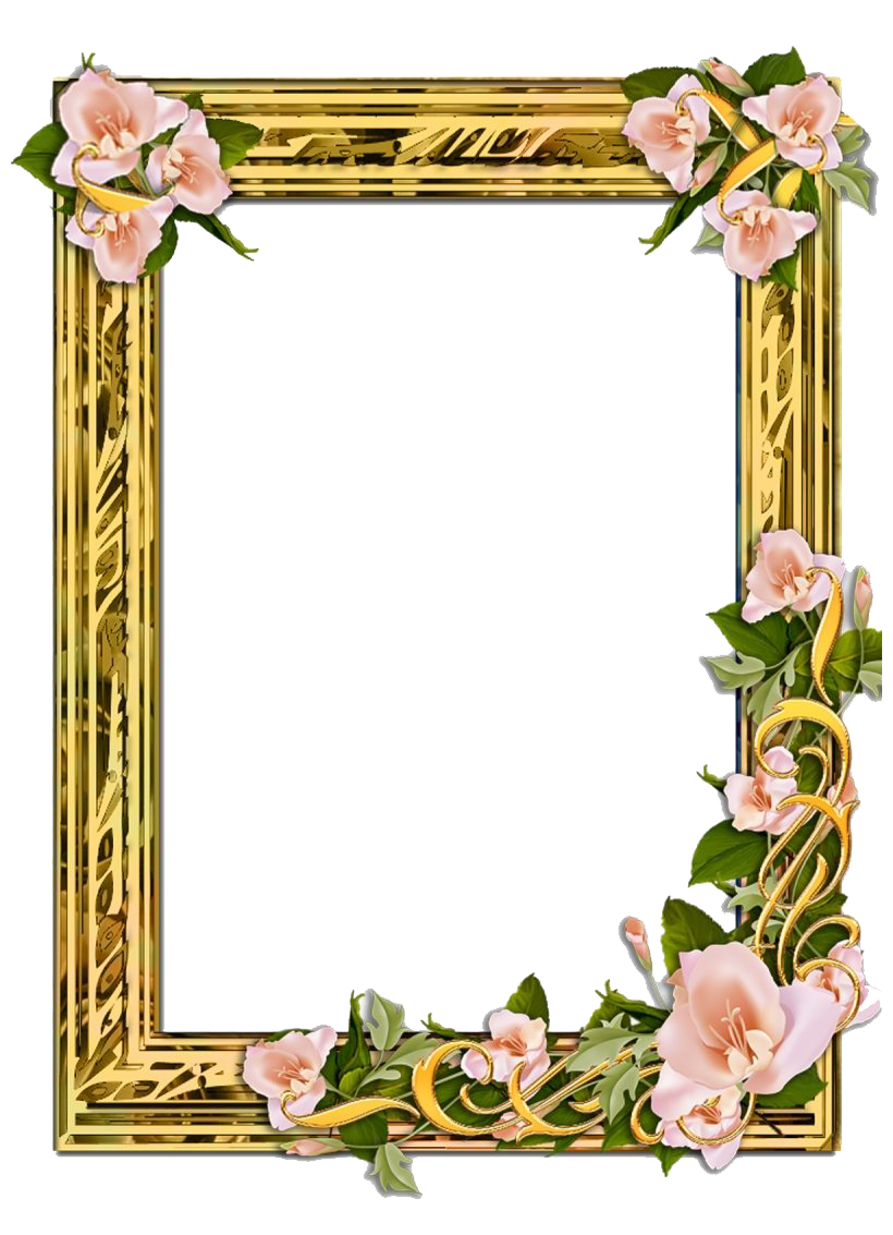 Poppy Frame Flower Free Clipart HQ Transparent PNG Image