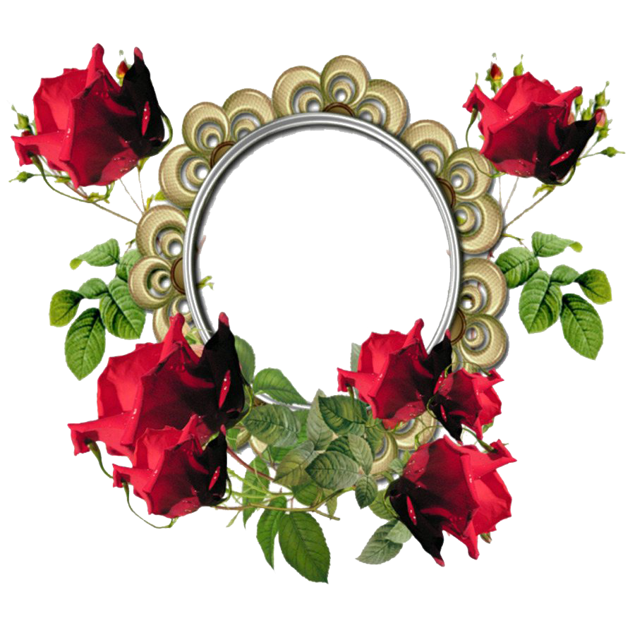 Poppy Frame Flower Round Free Download PNG HD Transparent PNG Image