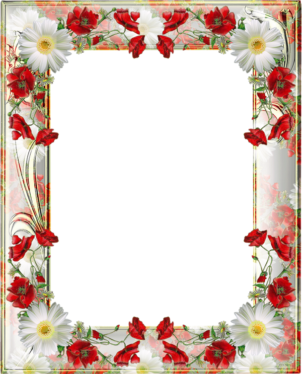 Poppy Frame Flower PNG Image High Quality Transparent PNG Image