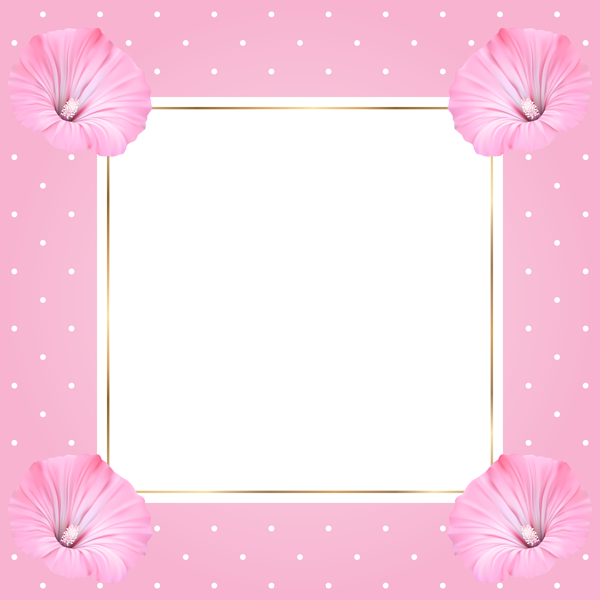 Pink Frame Square PNG Free Photo Transparent PNG Image