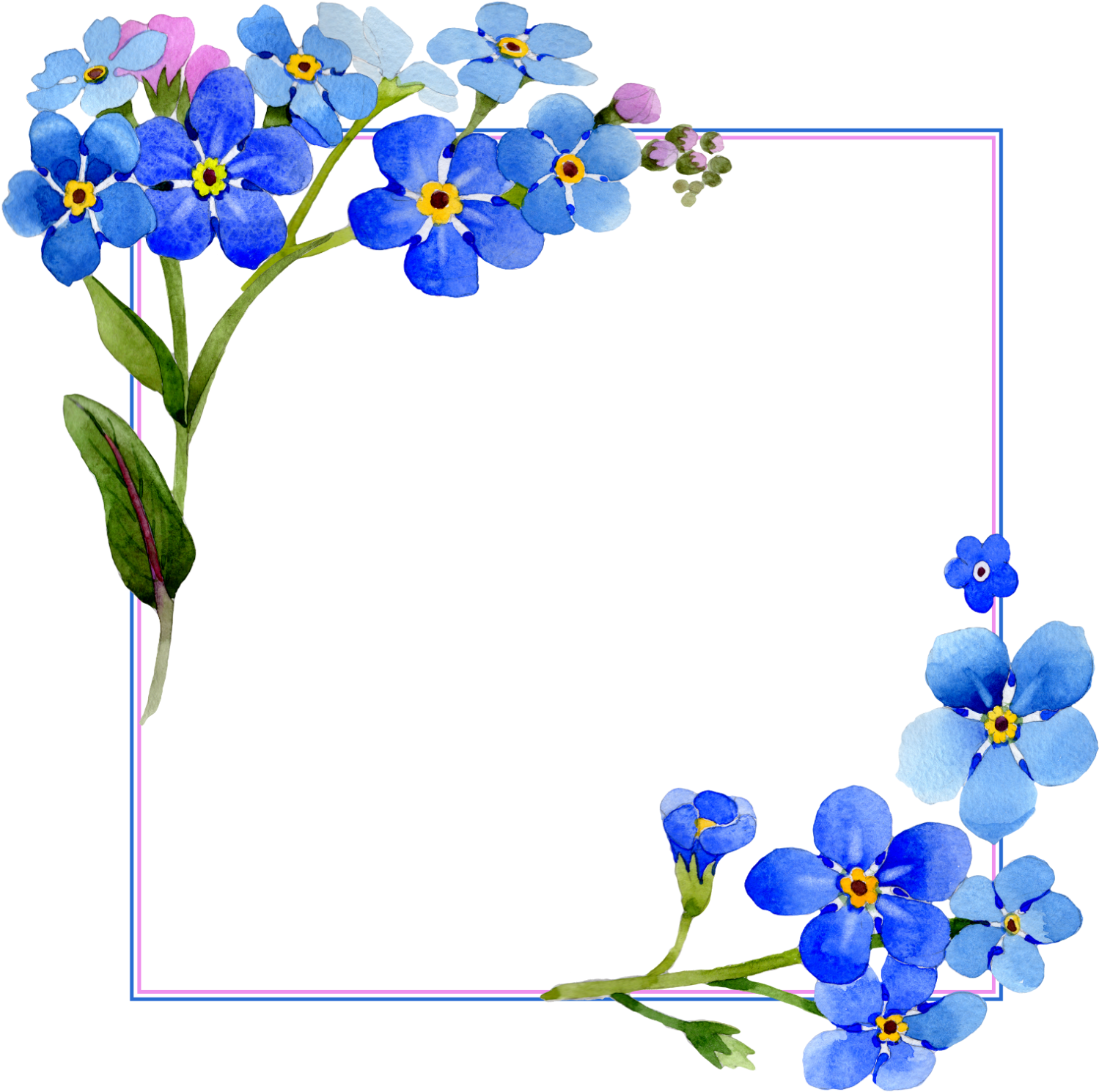 Blue Frame Flowers HQ Image Free Transparent PNG Image