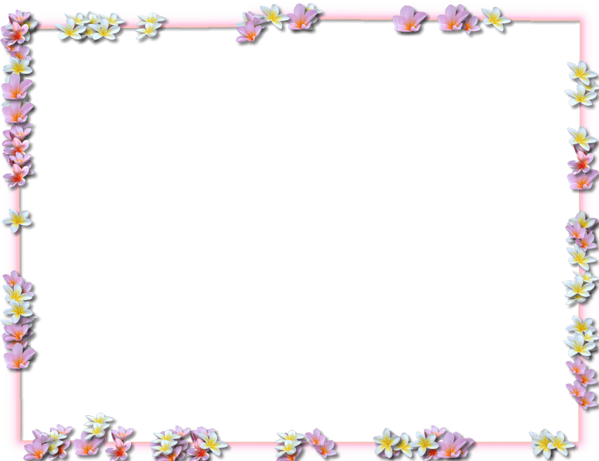 Frame Flowers Border PNG Free Photo Transparent PNG Image