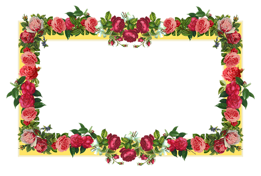 Frame Flowers HD Image Free Transparent PNG Image