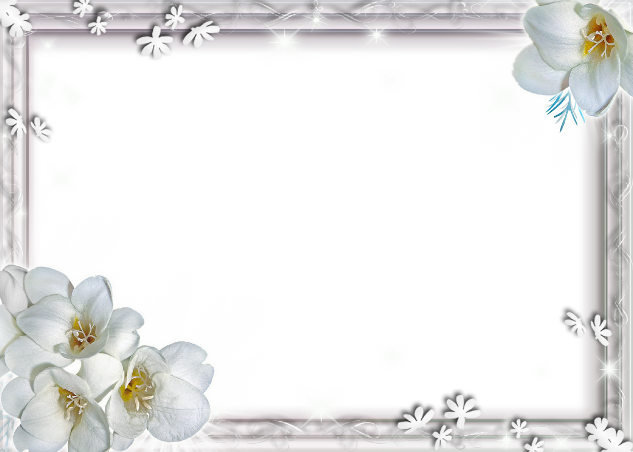 Frame Flower Free Download PNG HD Transparent PNG Image