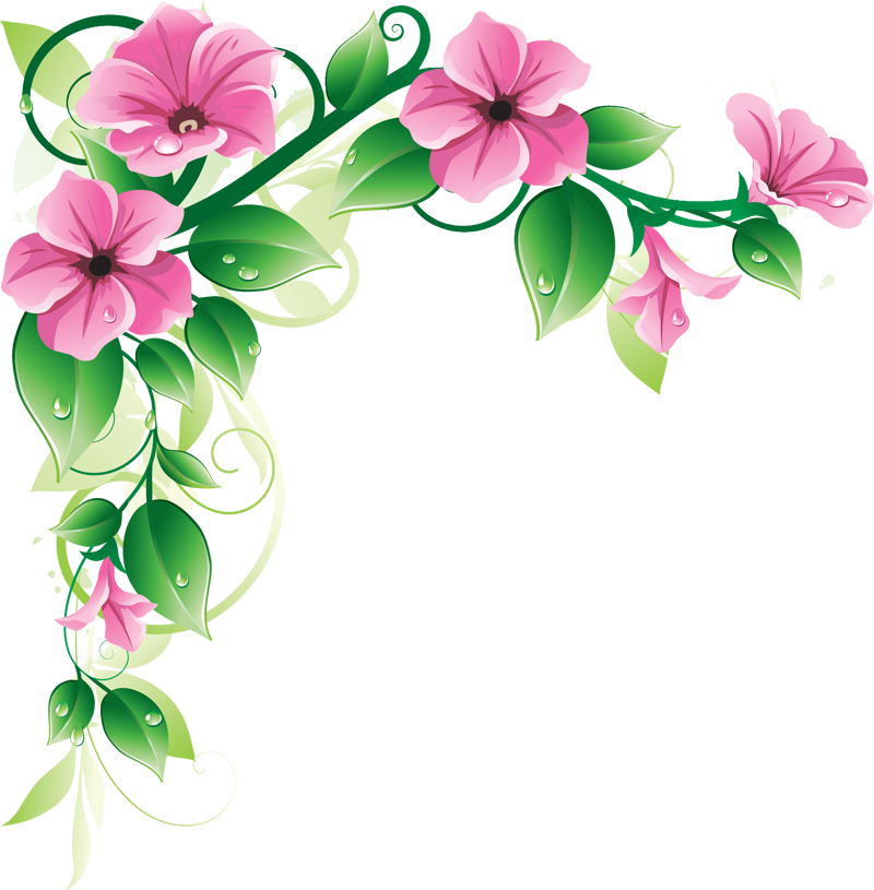 Pink Floral Border Free HQ Image Transparent PNG Image