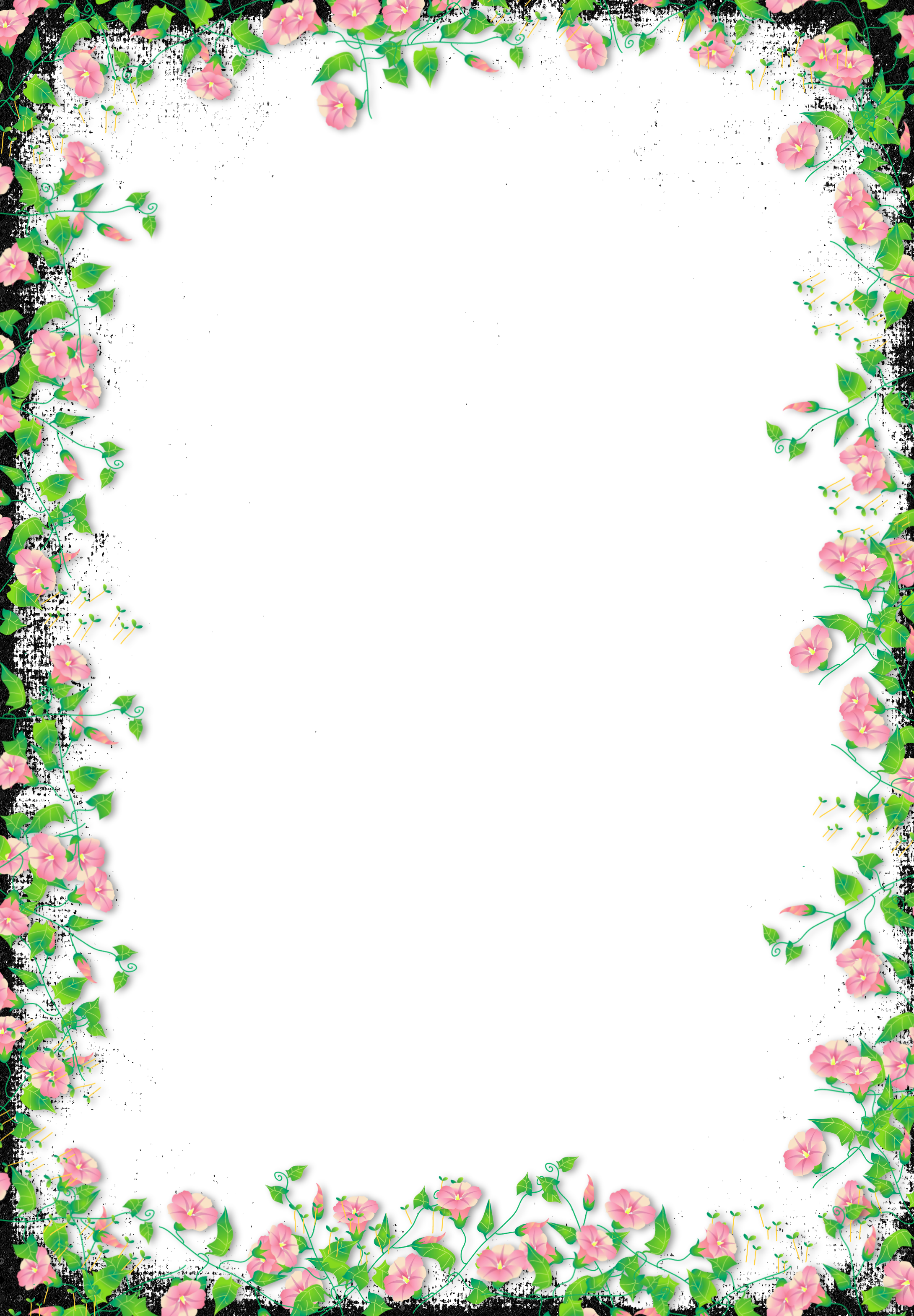 Frame Flower Border PNG Download Free Transparent PNG Image