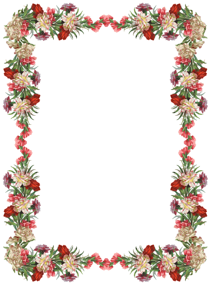 Frame Flower Border Colorful Free Photo Transparent PNG Image