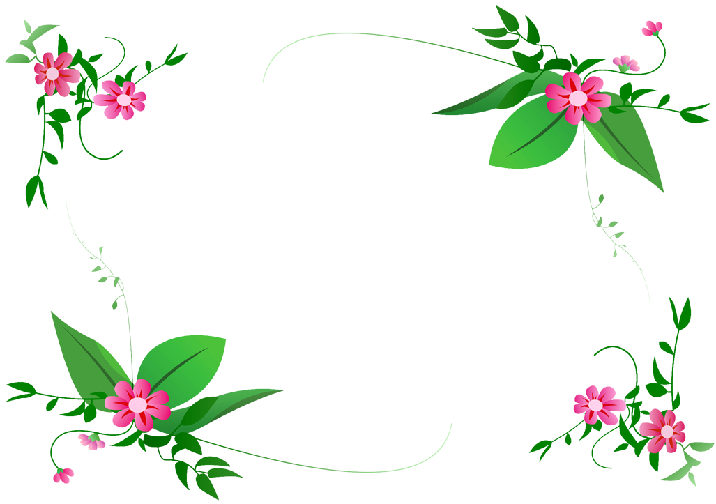 Floral Frame Border Download Free Image Transparent PNG Image