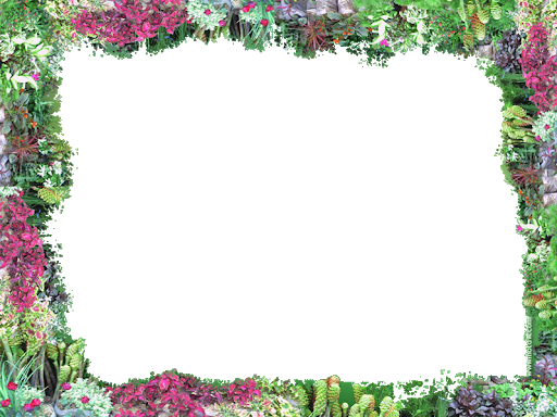 Frame Square Border Flower PNG File HD Transparent PNG Image