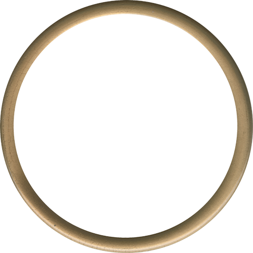 Circle Frame Transparent Image Transparent PNG Image