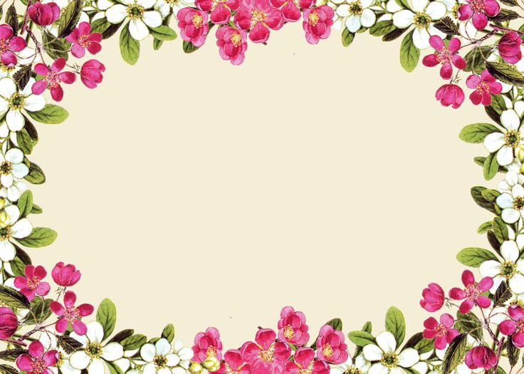 Pink Flower Frame Photos Transparent PNG Image