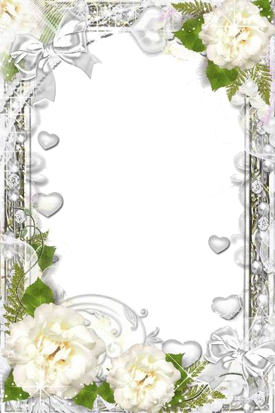 White Flower Frame Photos Transparent PNG Image