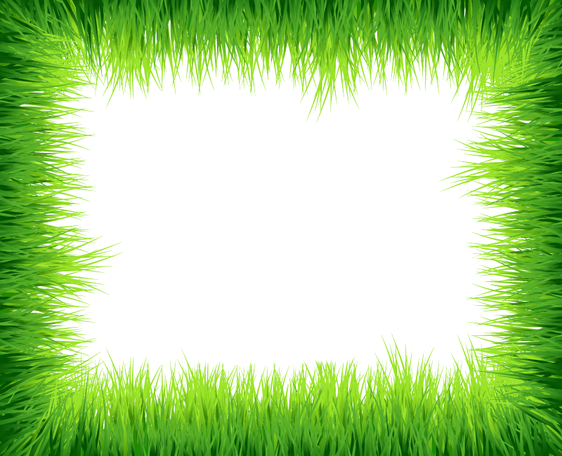 Green Border Frame Photos Transparent PNG Image