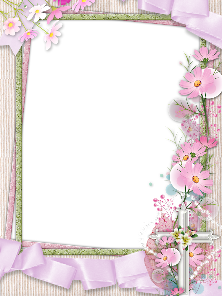 Pink Flower Frame Transparent Picture Transparent PNG Image