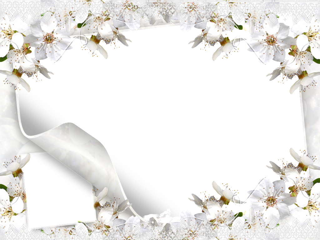 White Flower Frame Picture Transparent PNG Image