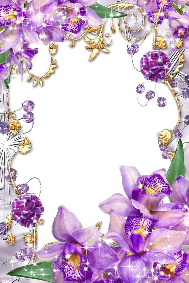 Purple Border Frame Transparent Image Transparent PNG Image