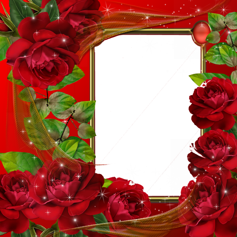 Red Flower Frame Transparent PNG Image