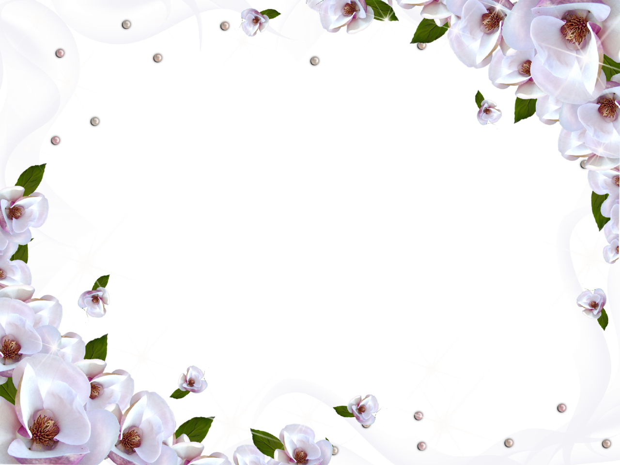 White Flower Frame Image Transparent PNG Image