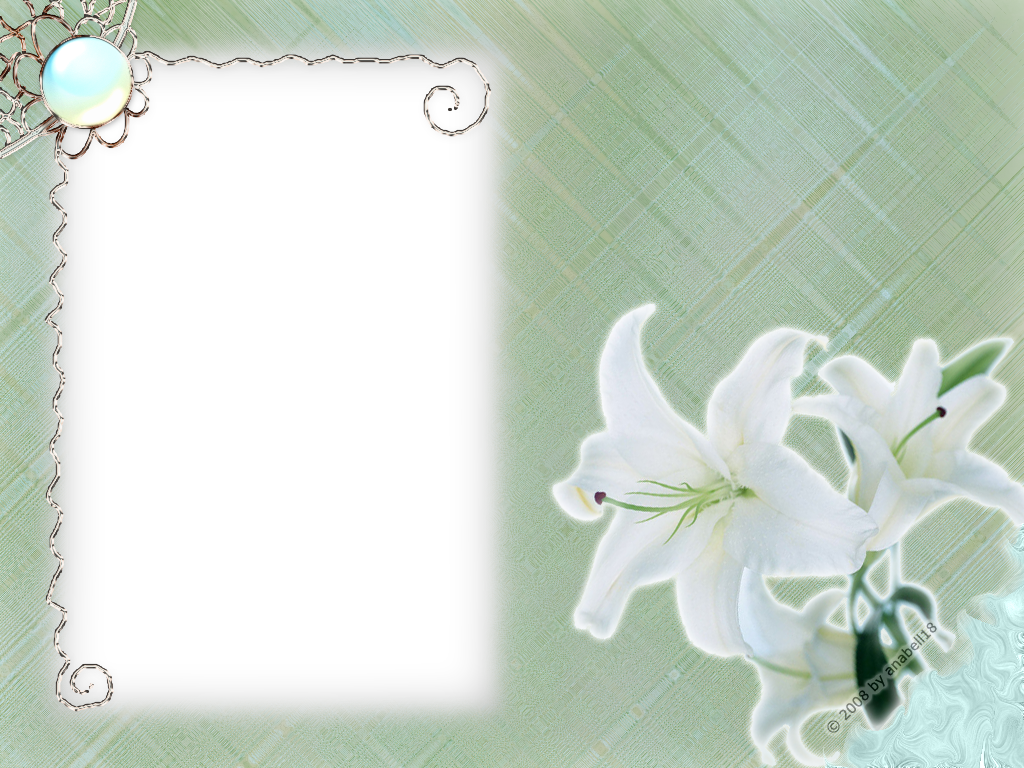 White Flower Frame Transparent Transparent PNG Image