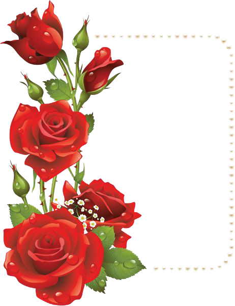 Red Flower Frame File Transparent PNG Image