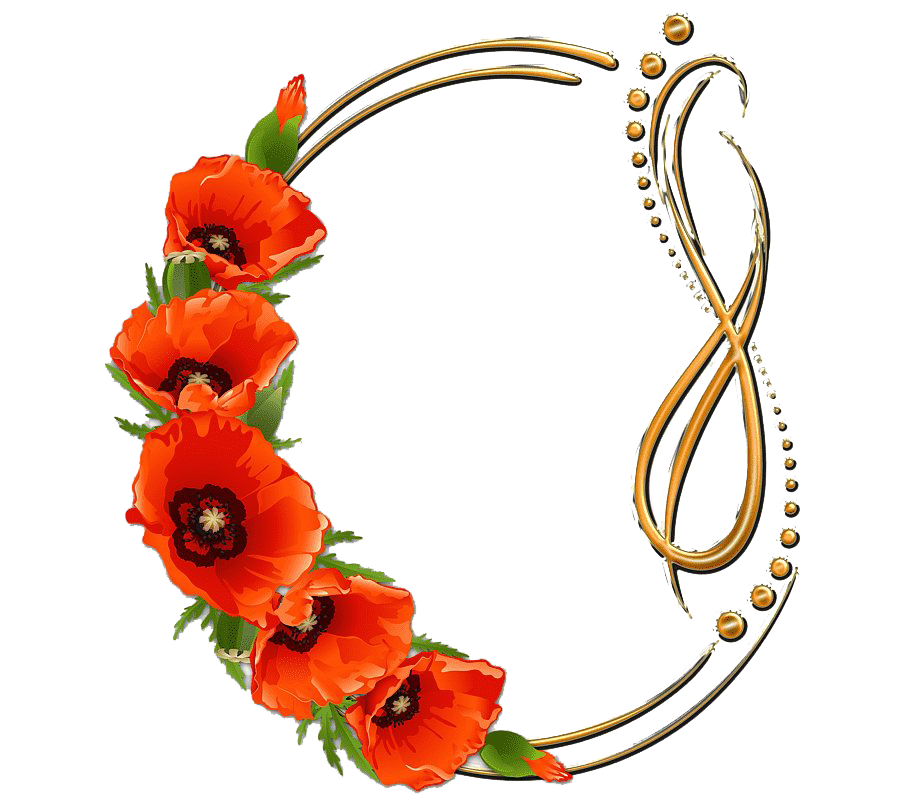 Poppy Frame Flower Round Free HQ Image Transparent PNG Image