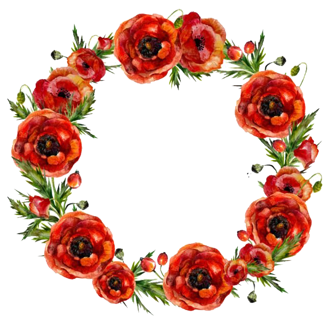 Poppy Frame Flower Round Free Transparent Image HQ Transparent PNG Image