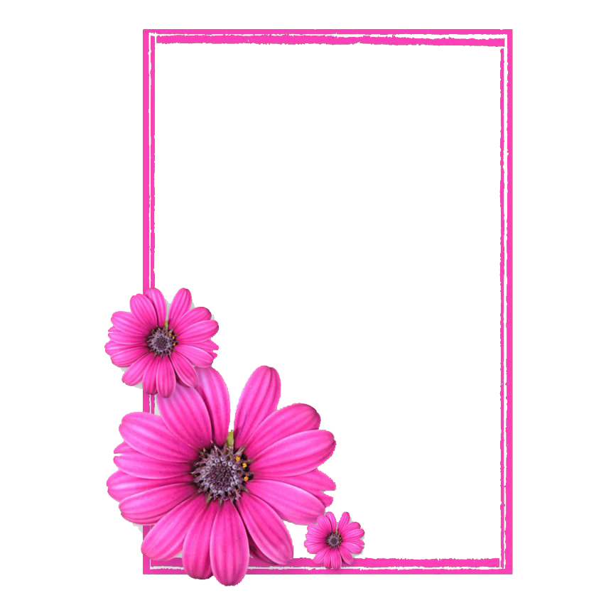 Pink Frame Square Download Free Image Transparent PNG Image