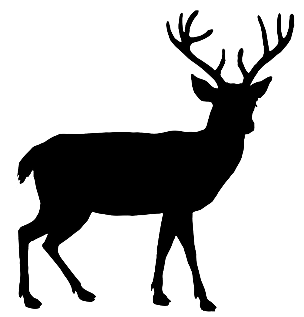 Deer Png Transparent PNG Image