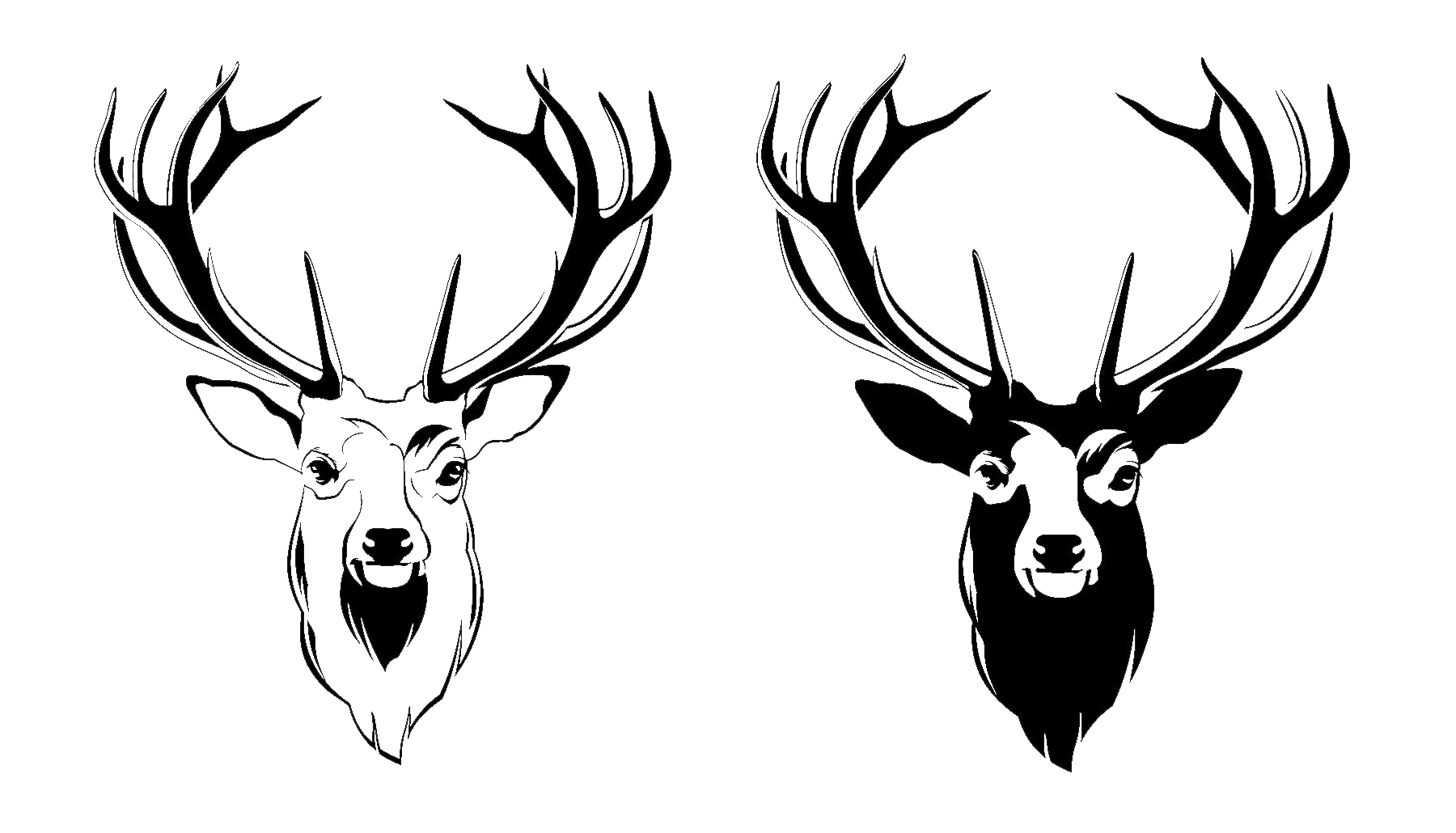 Deer Head Picture Transparent PNG Image