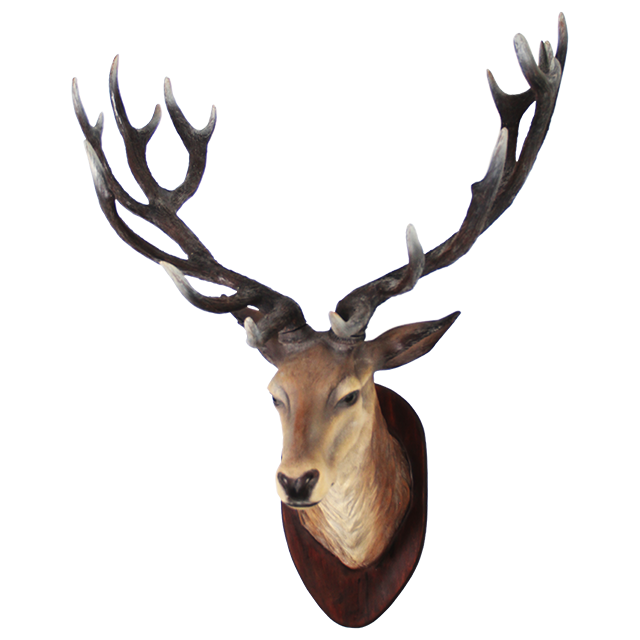 Deer Head Transparent Image Transparent PNG Image