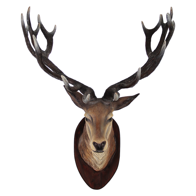 Deer Head Transparent Transparent PNG Image