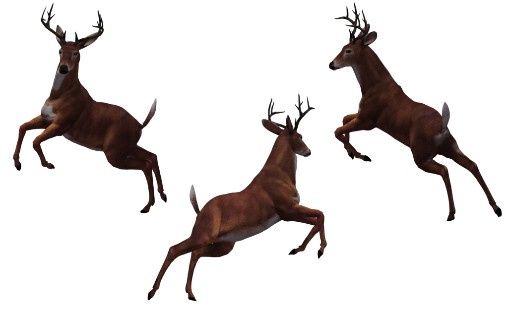 Deer Free Download Png Transparent PNG Image