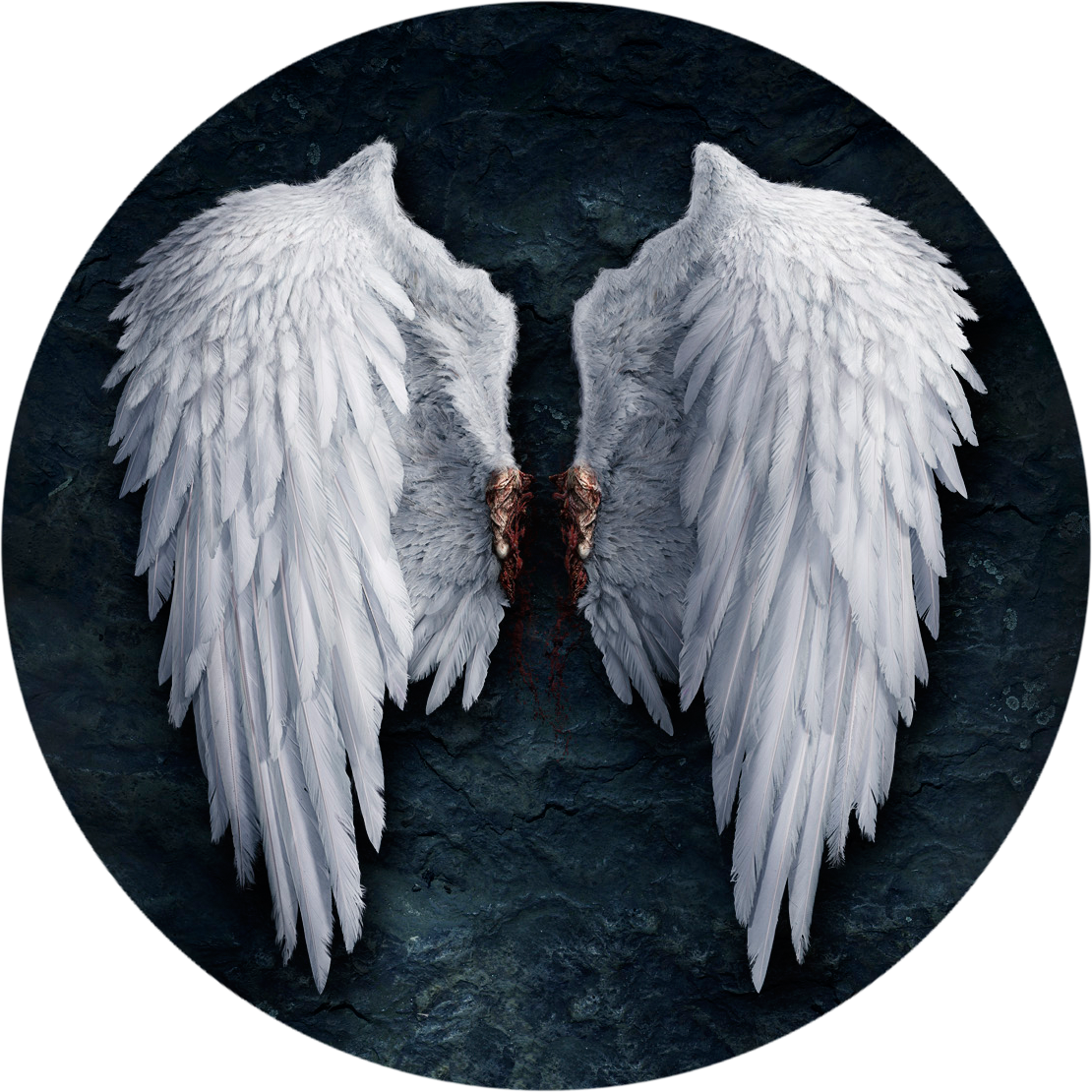 Feather Lucifer Castiel Angel Wing PNG File HD Transparent PNG Image